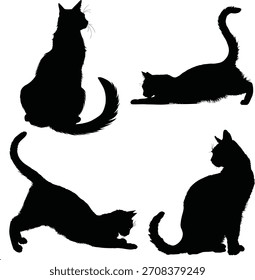silhueta do jogo de gato