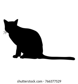 silhouette cat sitting