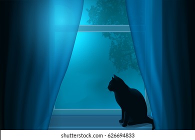 Silhouette of a cat sitting on a windowsill under the light of the moon in a window.