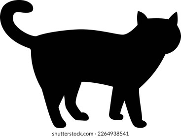 Silhouette of a cat standing and looking at you