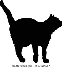 Silhouette of a cat standing with its tail raised on a transparent background, capturing the feline's elegant posture and curious nature.