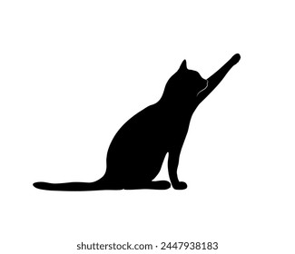 The silhouette of a cat stretching its paw forward and wanting to touch something.