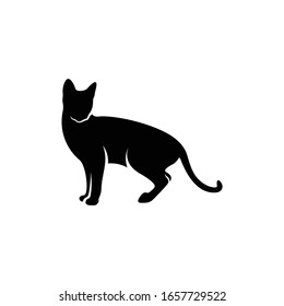 Diseño de la ilustración del vector del gato de silueta de color blanco y negro.