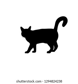 Silhouette Katze, die mit Schwanz nach oben geht. Vektorgrafik einzeln auf weißem Hintergrund