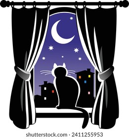Silhouette of a cat in the window against the night sky.