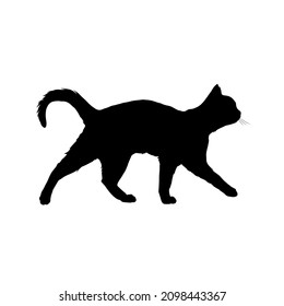 silueta de un gato para su referencia artística