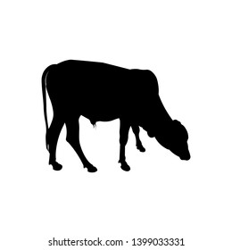 Silhouette of cattle grazing. Vector illustration isolated on black background