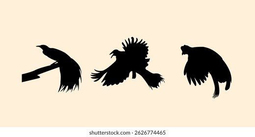Silhouette of cenderawasih bird or paradise bird on black. Icon Shadow of Animal. Vector Illustrator.