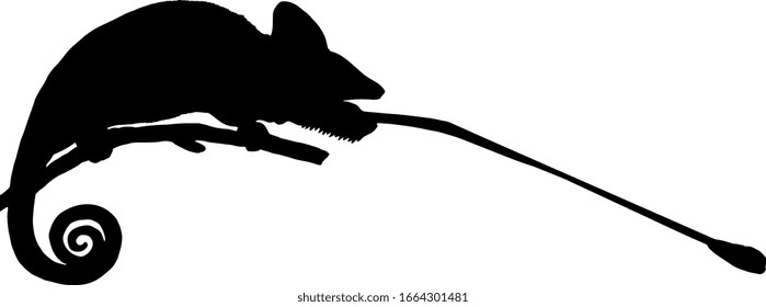 Silhouette of a chameleon hunting with its elongated sticky tongue. Vector illustration.