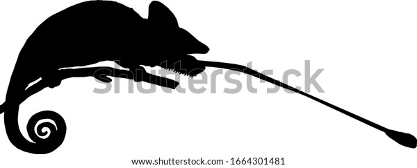 細長いべたべた舌を持つカメレオン狩りのシルエット ベクターイラスト のベクター画像素材 ロイヤリティフリー