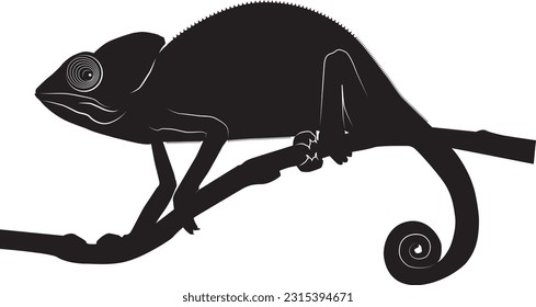 Silhouette of chameleon on the branch, isolated on white background.
