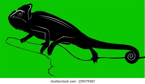 silhouette of a chameleon on a green background