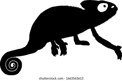 Silhouette of a chameleon. Vector illustration.