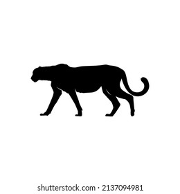 Silhouette of Cheetah Tiger Puma Jaguar Black Panther for logo design. Wildlife Animal Vector Illustration eps 10