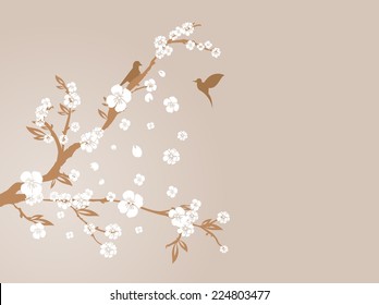 silhouette of cherry blossom