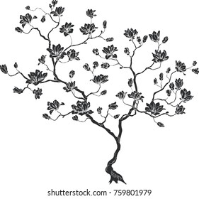 Silhouette Of A Cherry Branch. Vector Illustration Of A Tree.