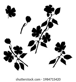 Silhouette of a cherry branches. Vector illustration.