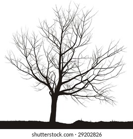 Dibujos negros de cerezo de silueta sobre fondo blanco