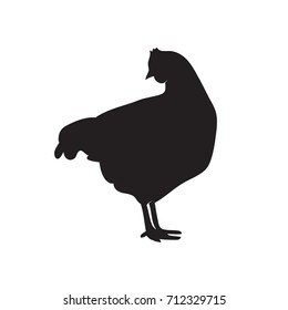 silhouette chicken. Silhouette. Chicken