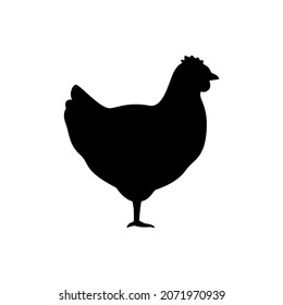 Silhouette of chicken animal, black contour hen bird. Rooster. Household bird farm. Vector illustration