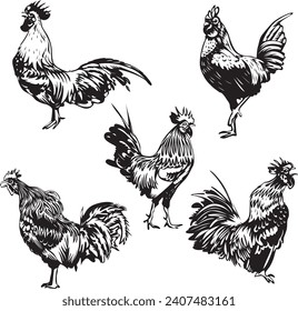 Silhouette of chicken with any angle. Suitable for logo, sticker merchandise, etc. Freehand sketch illustration set chicken doodle stock images. Chicken vector icon. Standing chicken isolated backgrou