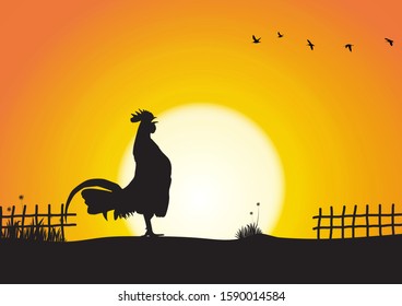 Silhouette of chicken crowing on sunrise background vector illustration