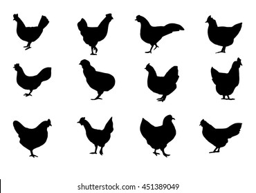 Variety Silhouettes Chicken Stock Vector (Royalty Free) 116436937 ...