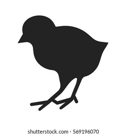 Silhouette of chicken isolated on white. Vector illustration of little bird, birdie icon