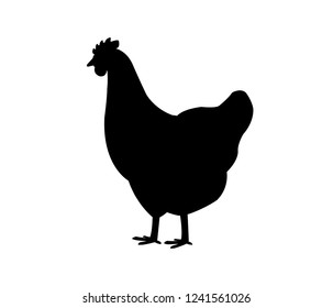 The silhouette of a chicken on a white backdrop. Shadow image chicken on white background.