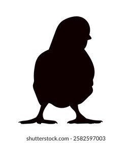 silhouette of a chicken on a white background vector