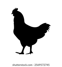 Silhouette of a chicken, rooster vector icon on a white background