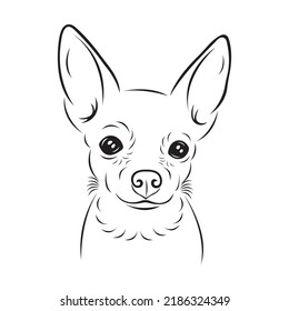 Silhouette of a Chihuahua dog's face drawn in black with different lines. Design suitable for logo, mascot, icon, albums, tattoos, banners, souvenirs, t-shirt printing, symbol. Isolated vector 
