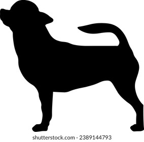 Silhouette of chihuahua isolated vector