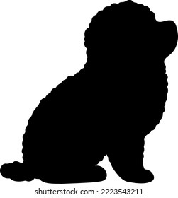 Silhouette of Chihuahua Poodle Mix Puppy sitting in side view