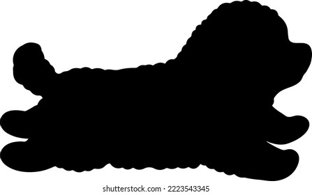 Silhouette de Chihuahua Poodle Mix Puppy corriendo