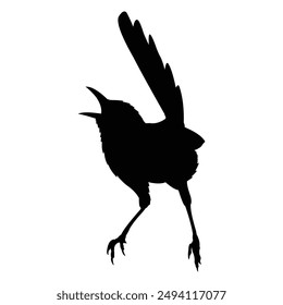 silhouette of a chirping bird on a black and white background