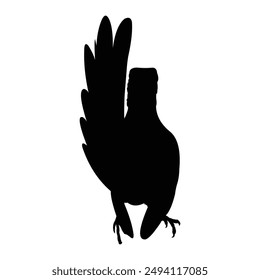 silhouette of a chirping bird on a black and white background