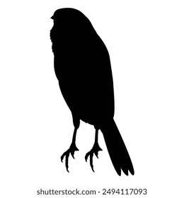 silhouette of a chirping bird on a black and white background