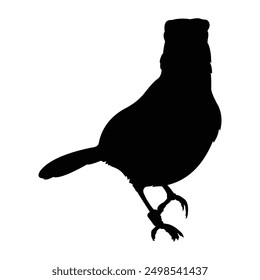 silhouette d'un oiseau gazouillant sur fond noir et blanc