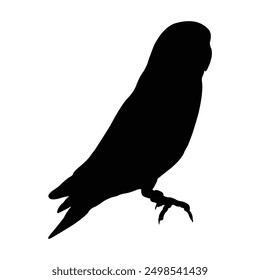 silhouette d'un oiseau gazouillant sur fond noir et blanc