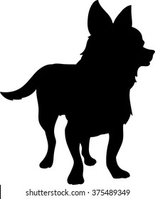 Silhouette of a chiwawa