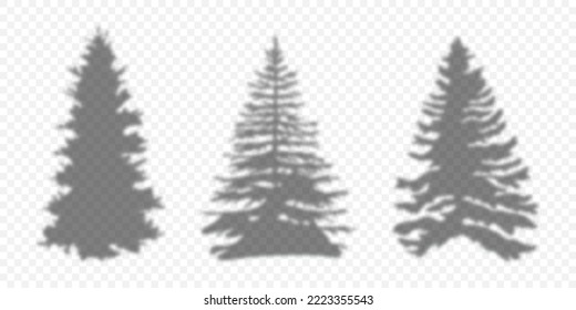 Silhouette Christmas Tree. Shadow Pine Tree. Shadow Christmas Trees different shape. Vector illustration