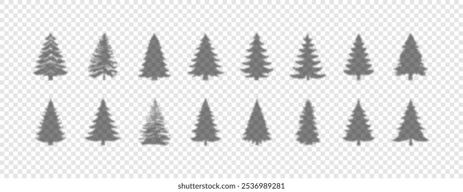 Silhouette Christmas Tree. Shadow Pine Tree. Shadow Christmas Trees different shape. Vector illustration