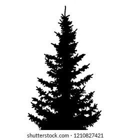 Silhouette of Christmas tree spruce natural. Vector EPS10