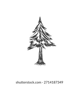 Silueta de un árbol de Navidad sin fondo