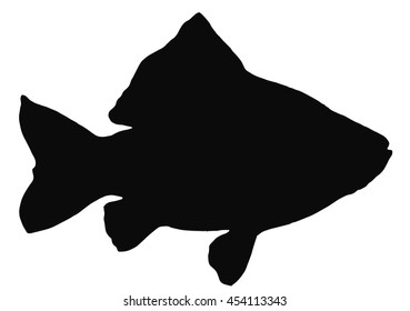 Silhouette. Circuit. Carp. River fish. Black and white drawing by hand.