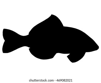 Silhouette. Circuit. Carp. River fish. Black and white drawing by hand.