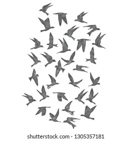 Silhouette of city flying birds on white background. Inspirational body flash tattoo ink. Set of textured stipple grey birds fly swallows, hand made. Vector.