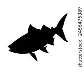 silhouette of a cobia fish on white