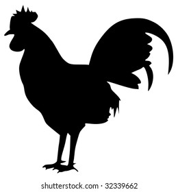 silhouette of cock